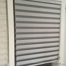 Fashion bus curtain with low price